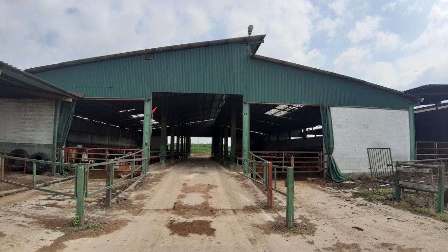 Poslovni prostor: Berak, Farma tovnih goveda, 3.624 m2 (prodaja)