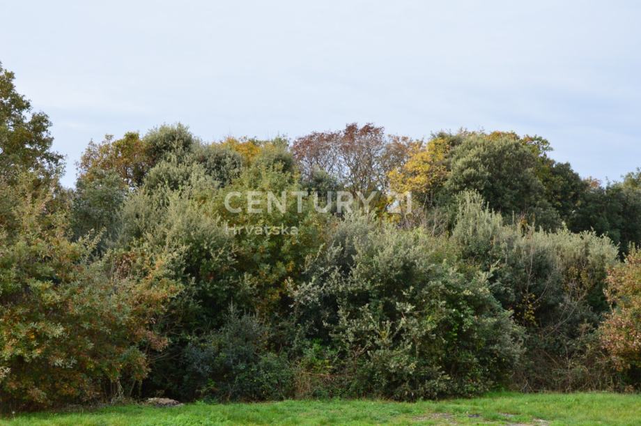 PULA: Građevinska parcela 1002 m2 s objektom