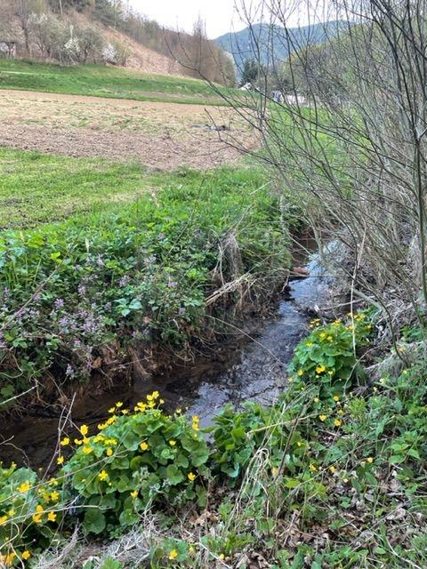 Obiteljska kuća 180 m2, Ravno Brezje + gosp. zgrada, moguća ZAMJENA