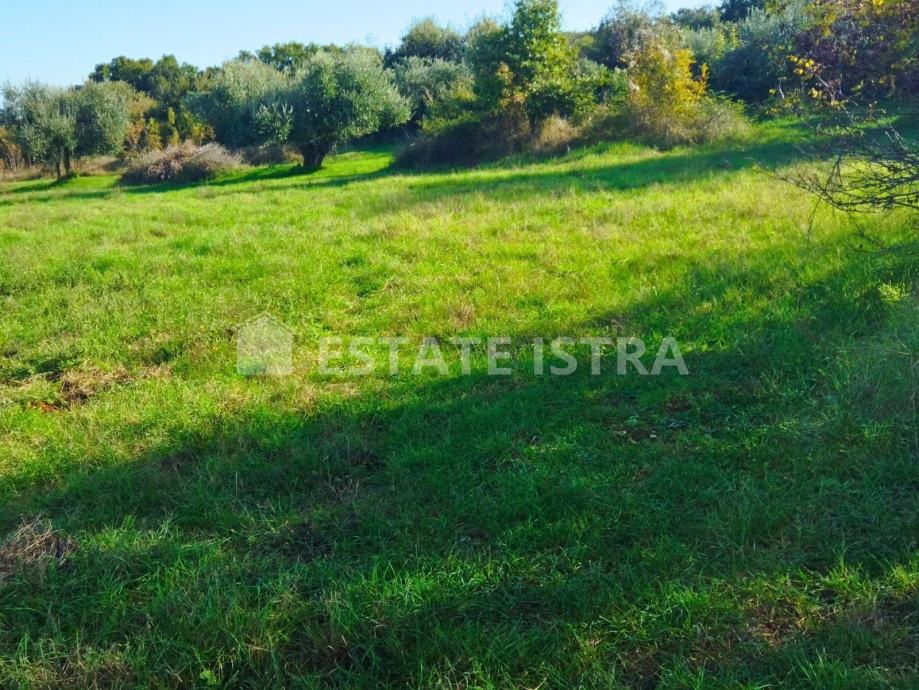 Prodaje se građevinska parcela u Štinjanu, površine 663 m2