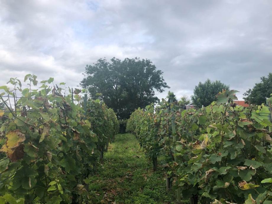 Sveti Petar Orehovec, 30 m2