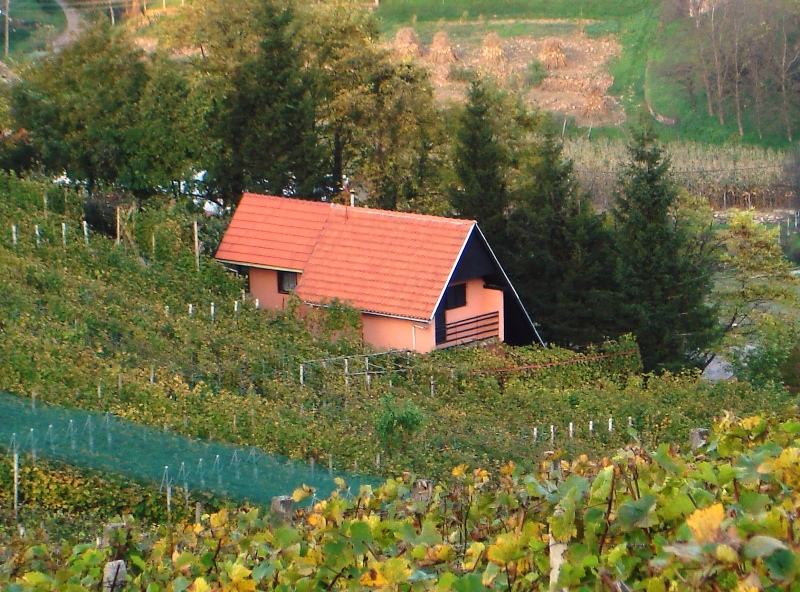 Vikend kuća sa vinogradom Ivanec (Jamine), 63 m2
