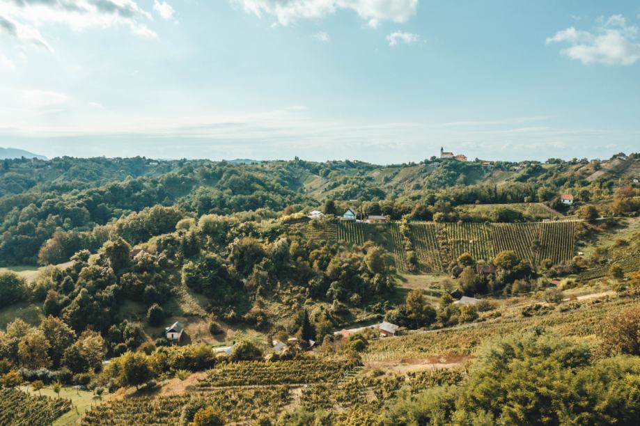 Vinica Breg i vinogradi