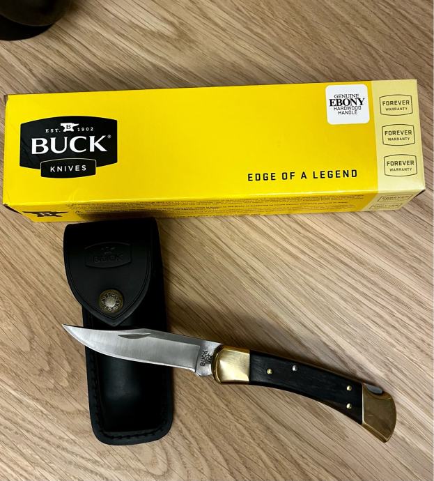 Buck 110 Folding Hunter