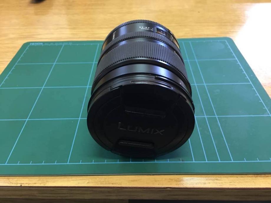 Leica D VarioElmarit 1450mm f2.83.5