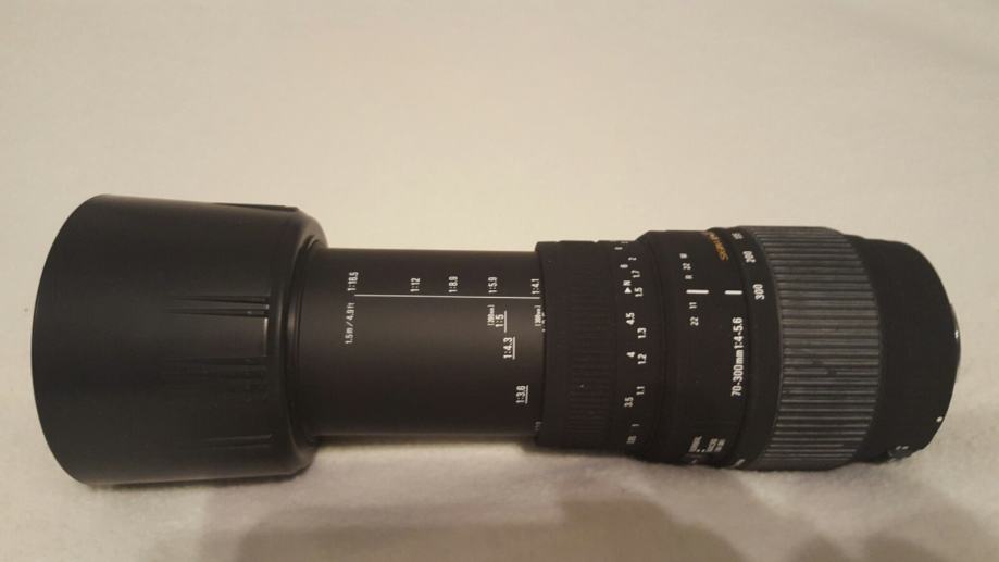 Canon digital EF SIGMA 70300mm 145,6 DG Macro
