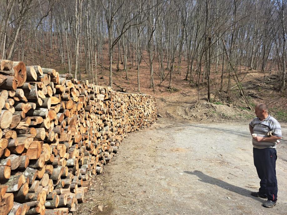Vise vrsta ogrijevnog drva  od 50 eur/m3.....091 1666 892