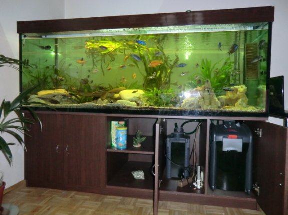 akvariji 1200l