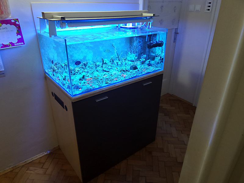 Morski akvarij – komplet 235 litara rimless sa postoljem