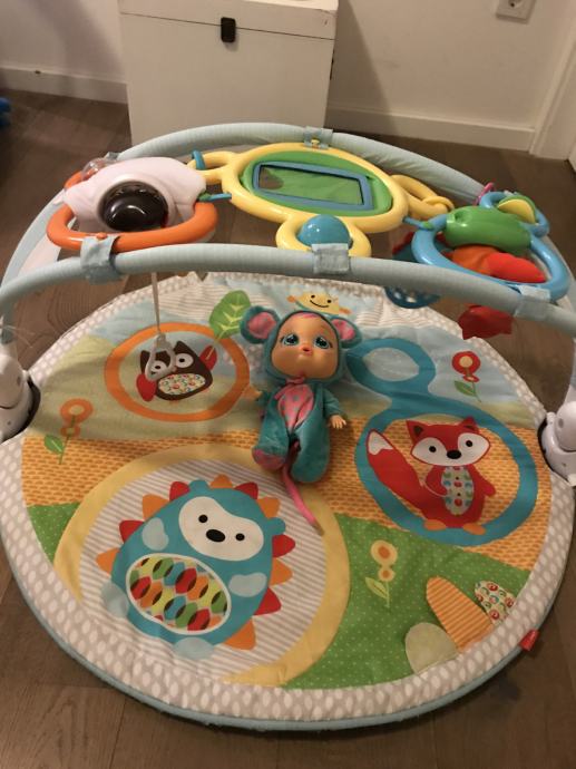 Skip Hop Baby Activity Gym
