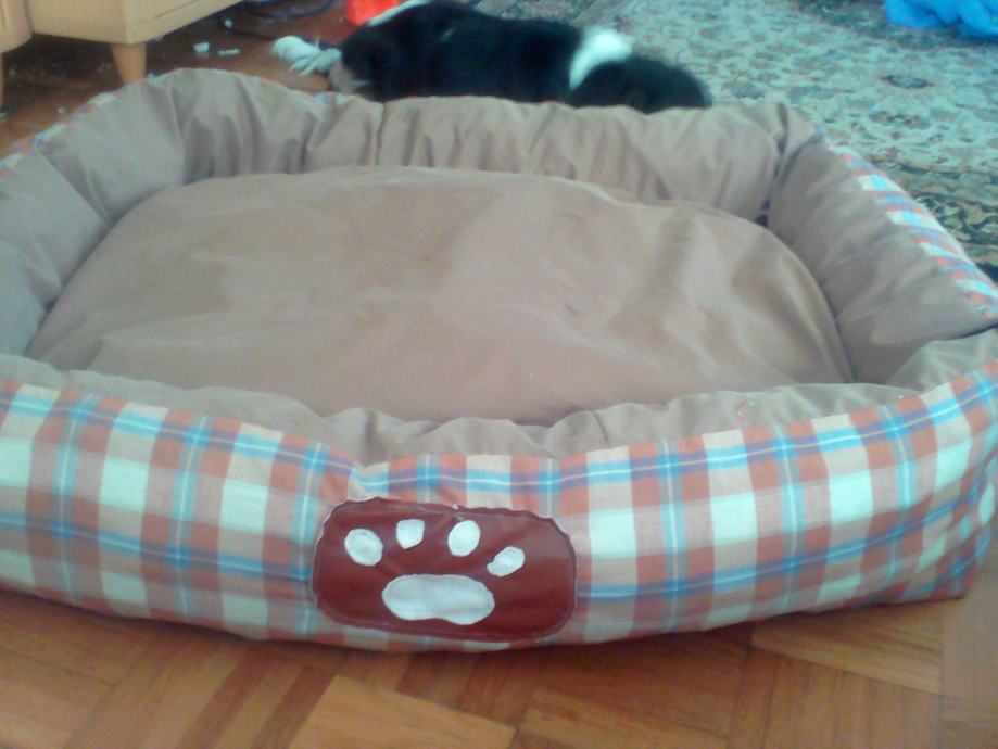 krevet za pse