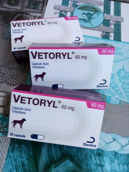 VETORYL 60mg