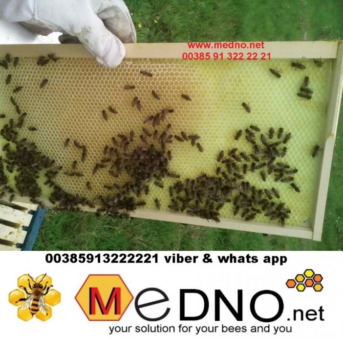 PČELE - SATNA OSNOVA OD PREHRAMBENE PLASTIKE  - www.medno.net