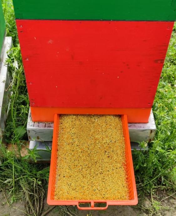 Podnica PVC CRVENA sa sakupljačem peludi,češljem i poletaljkomLR,DB10