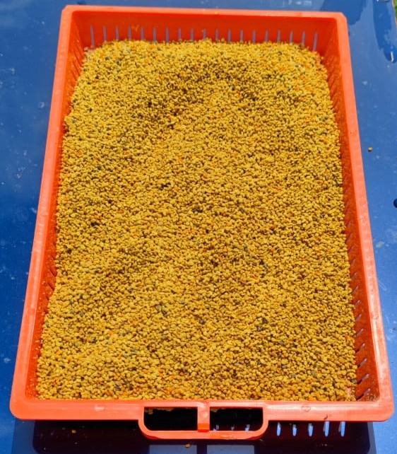 Podnica PVC CRVENA sa sakupljačem peludi,češljem i poletaljkomLR,DB10