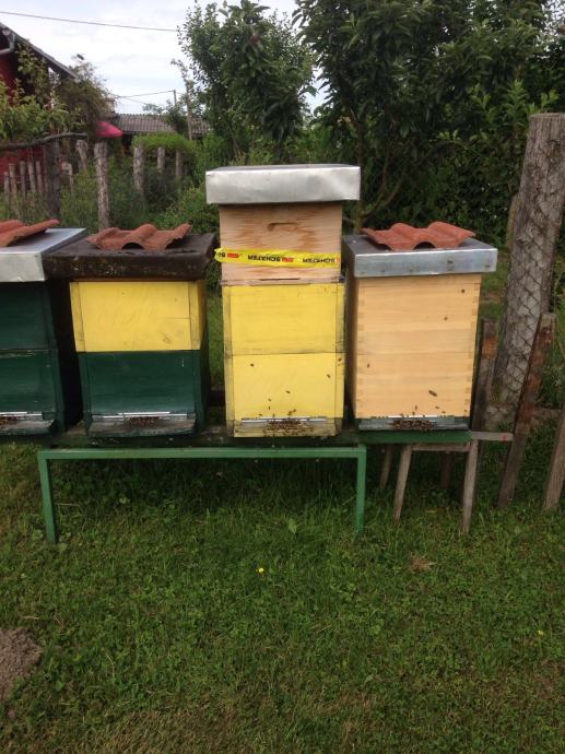 Prodajem roj pčela u LR košnici