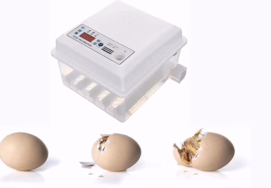 Automatski inkubator za jaja