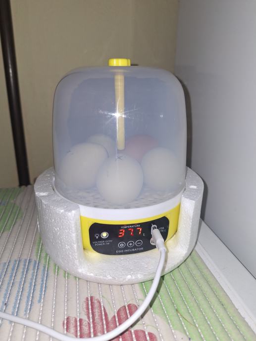 Inkubator za jaja(mini)