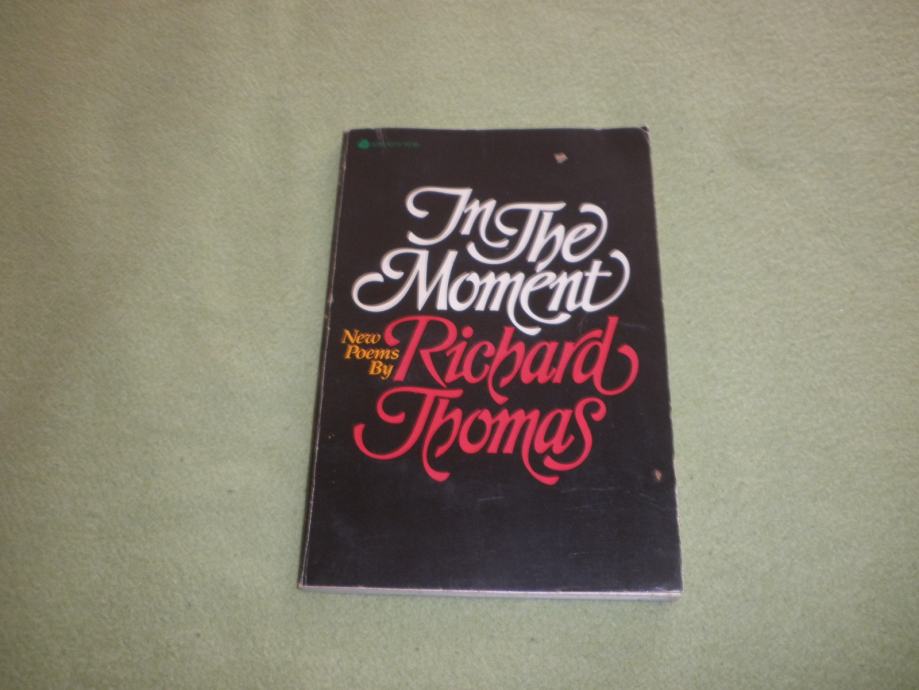IN THE MOMENT - Richard Thomas