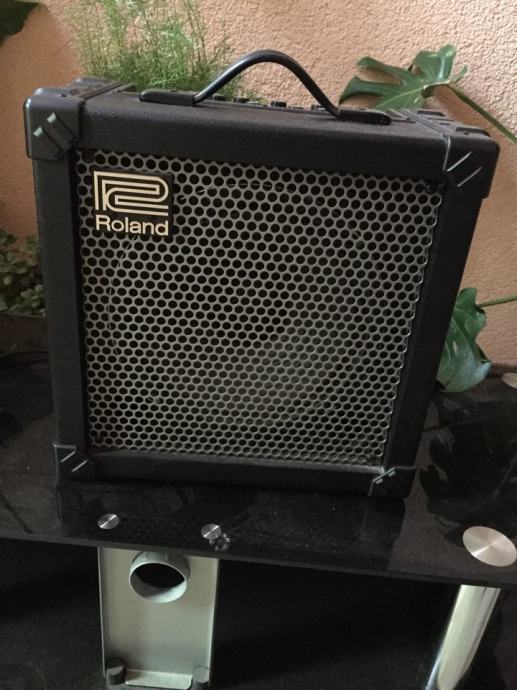 Roland Cube