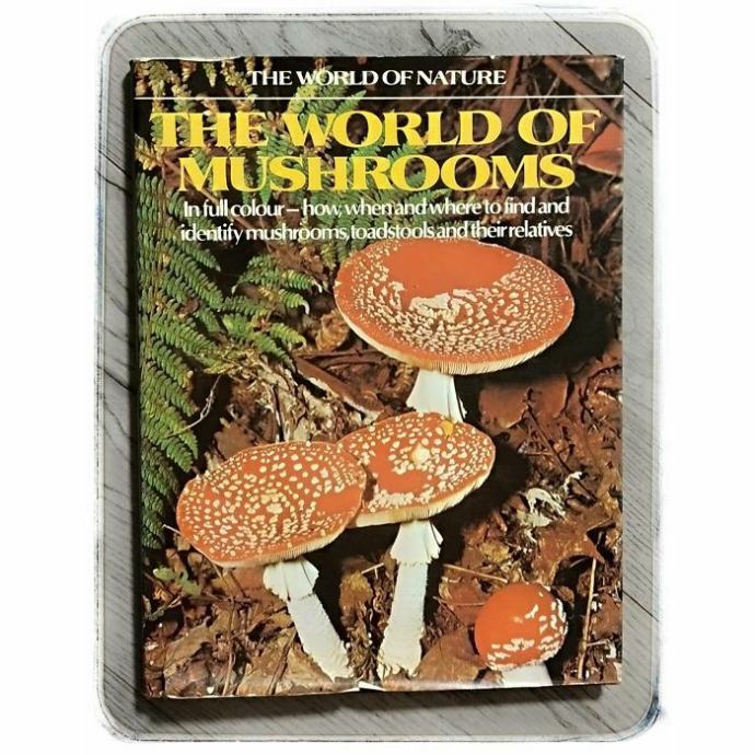The World Of Mushroom Uberto Tosco
