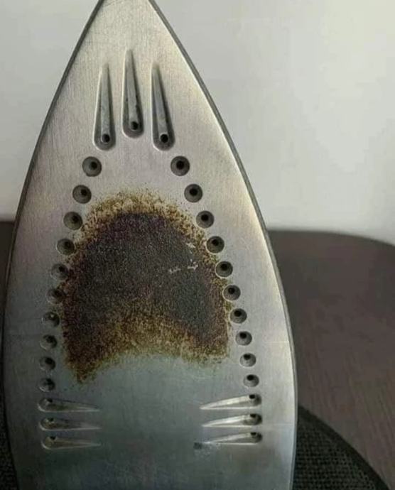 LIMES pasta za domaćinstvo