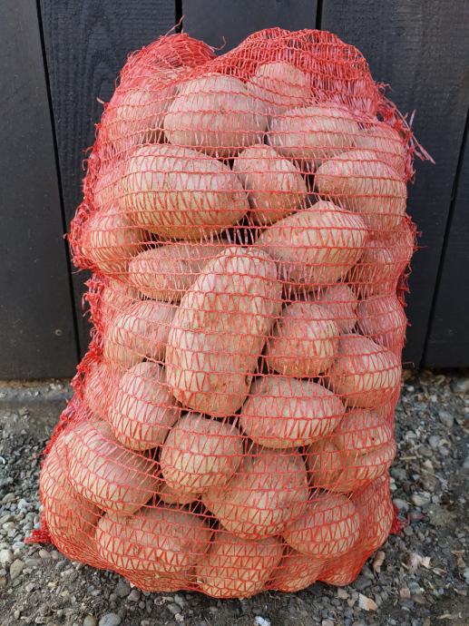 Krumpir crveni " Desire " 3,00 kn/kg