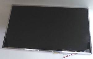 15.4" Laptop LCD Screen AU Optronics B154EW08 V.1,30 pinski + inverter