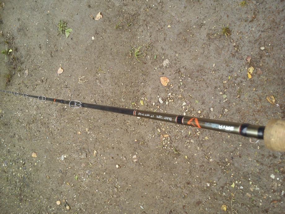 savage gear(savagear) butch light&daiwa proteus millionaire 300L
