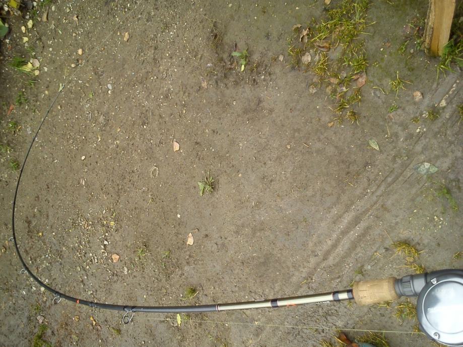 savage gear(savagear) butch light&daiwa proteus millionaire 300L