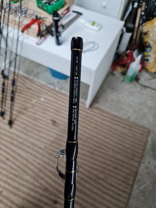 DAIWA BG Big Game, 1.67m, 5.50 Ft, 3 Parts, Progressive Action, Large