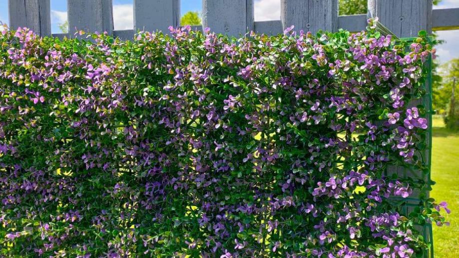 umjetna ograda šimšir/ buxus lila