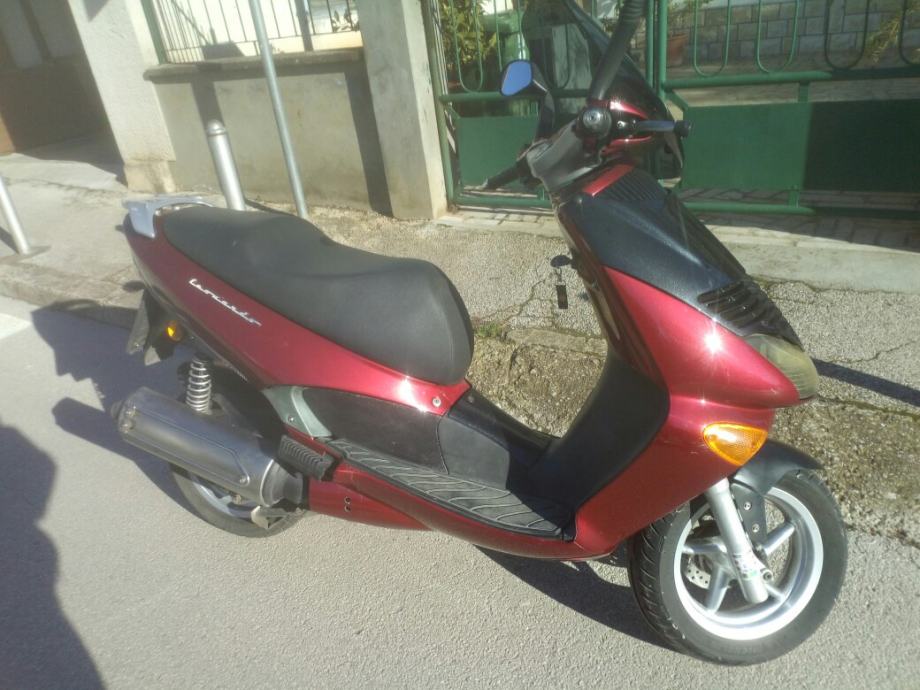 Aprilia Leonardo 125 150 250 2003 Manual de Intretinere WWW