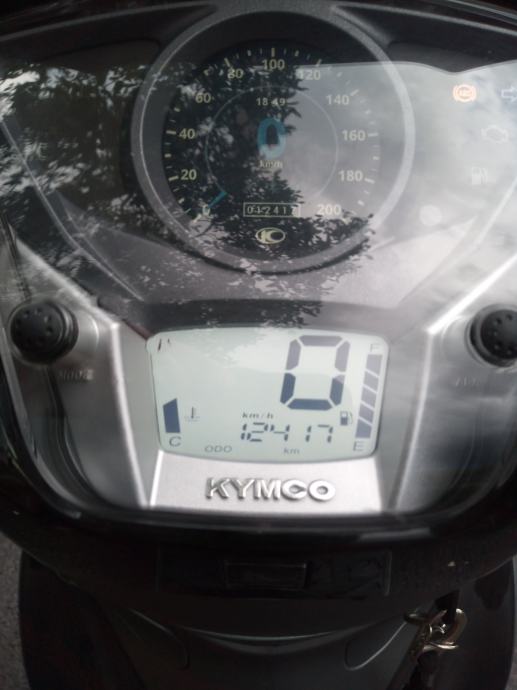 Windschild