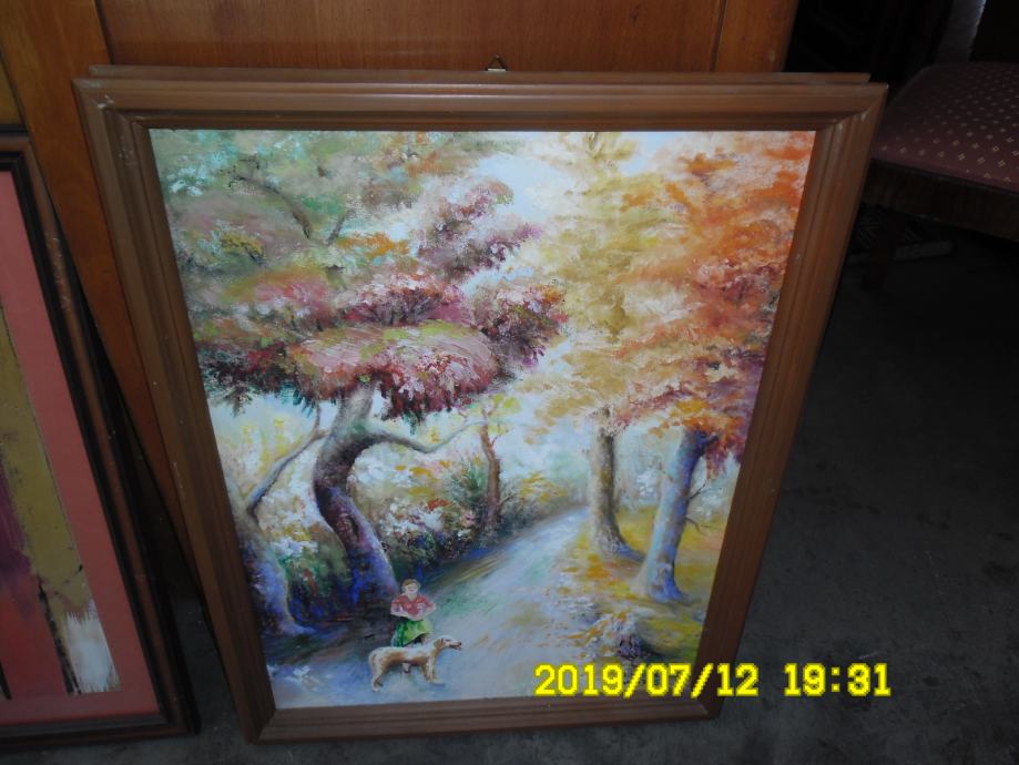 SLIKE ( RAZNE TEHNIKE )