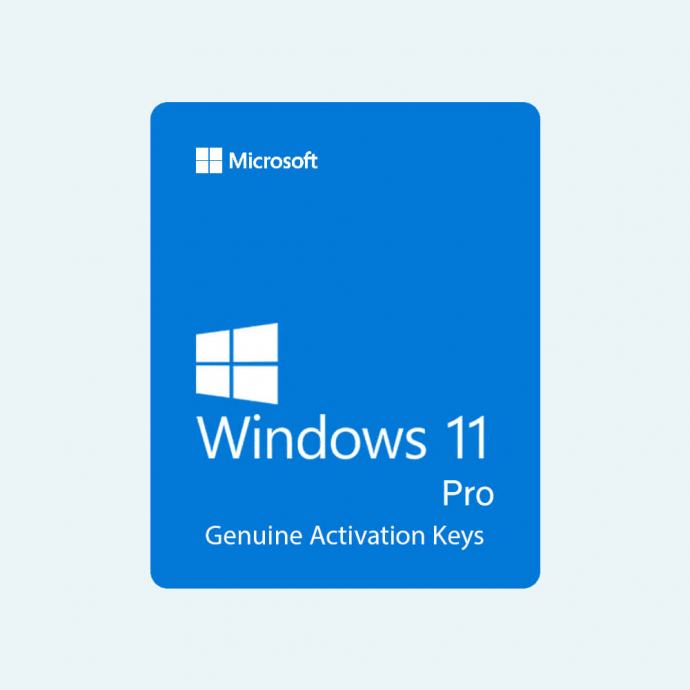 Windows 11 Pro - Digitalna licenca i instalacija sustava