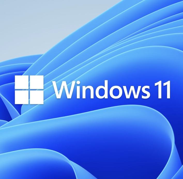 Windows 11 Pro oem Licenca 64bit