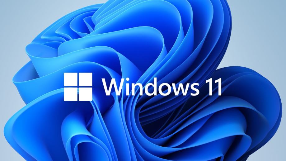 Windows 11 Pro trajna licenca ( ključ )