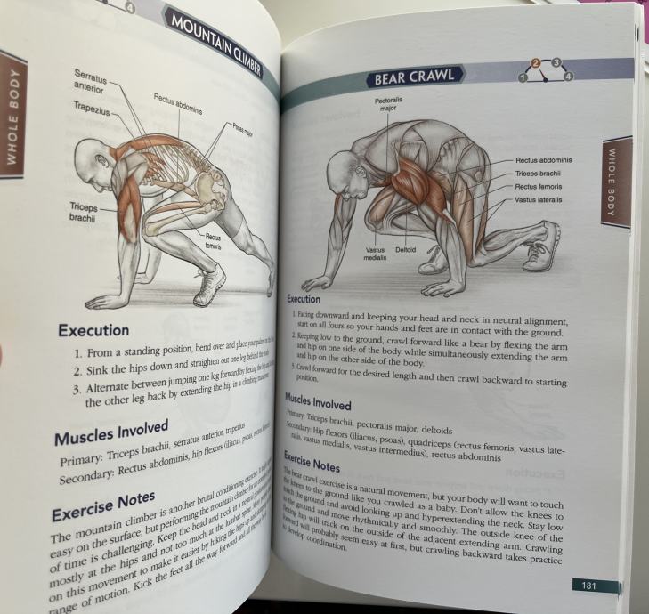 Bret Contreras Bodyweight Strength Training Anatomy