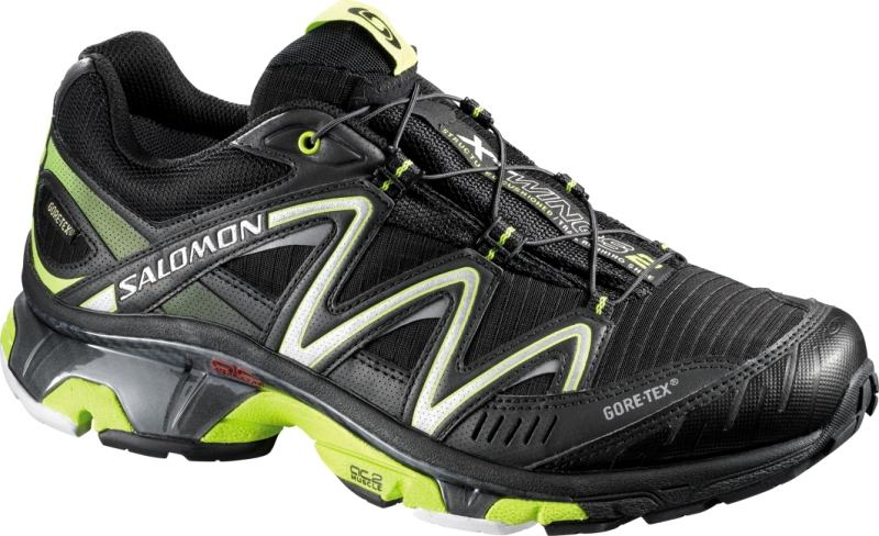 salomon wings gtx