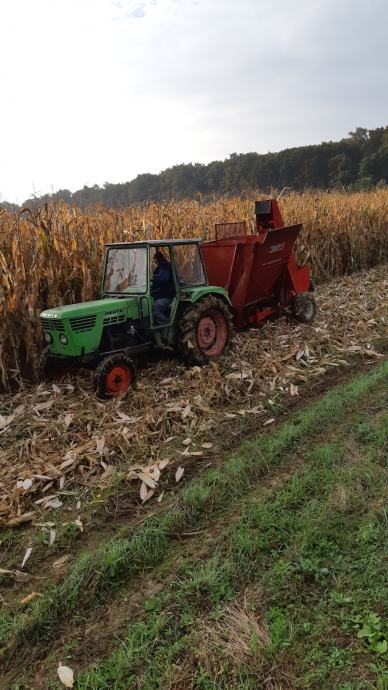 OGLASI PRODAJA KUKURUZA visual data 7