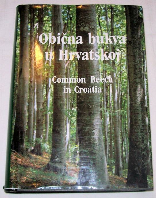 Grupa autora - Obična bukva u Hrvatskoj