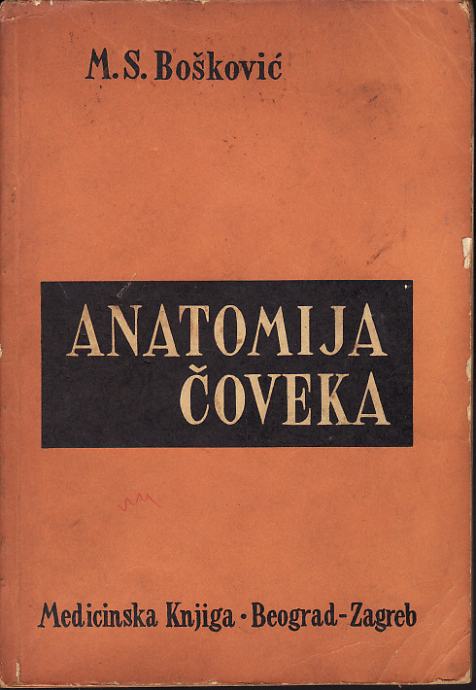 M. S. BOŠKOVIĆ : ANATOMIJA ČOVEKA - DESKRIPTIVNA I FUNKCIONALNA