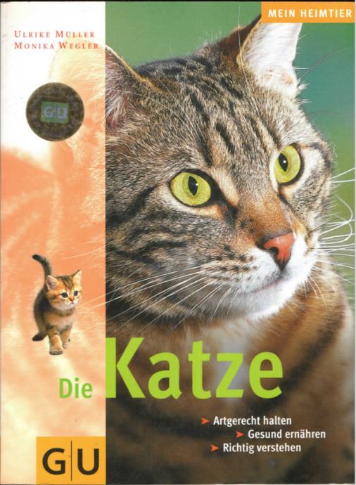 Erfahren Sie, Wie Sie Ihre Katzen Gesund Halten