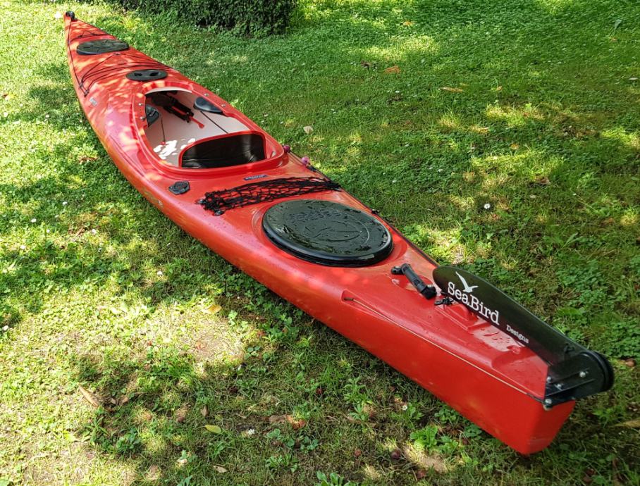 Kajak Seabird Discovery