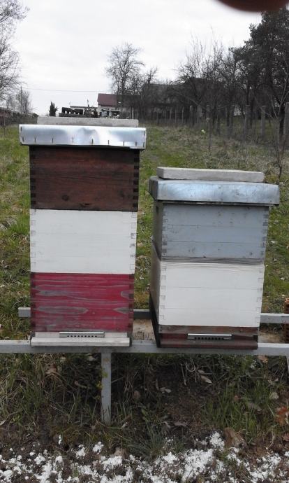 Prodaja pčela