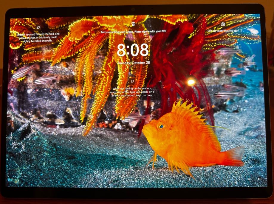 Microsoft Surface Pro 8 128 GB