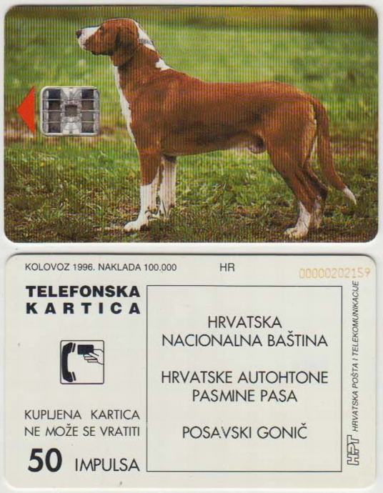 096 HRVATSKA CROATIA TEL.KARTICA POSAVSKI GONIČ  II  IZDANJE 1996