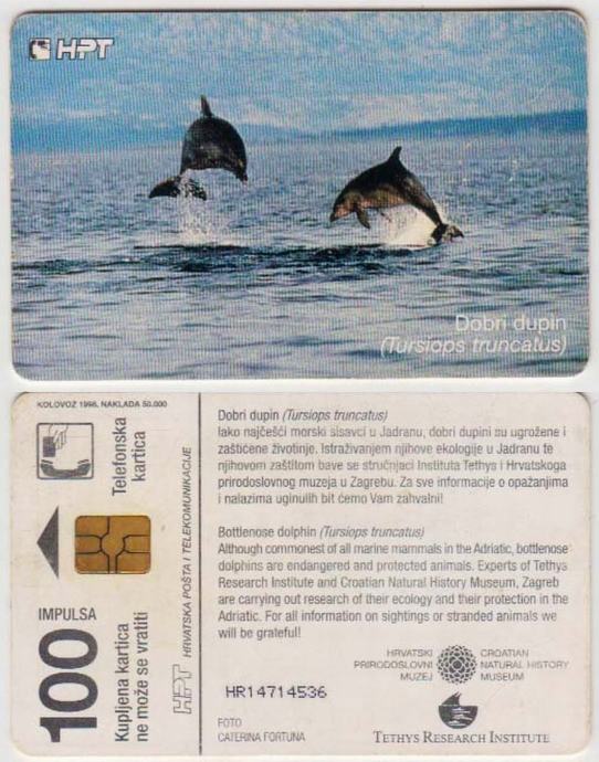 217 HRVATSKA CROATIA TEL.KARTICA DOBRI DUPIN 1 1998