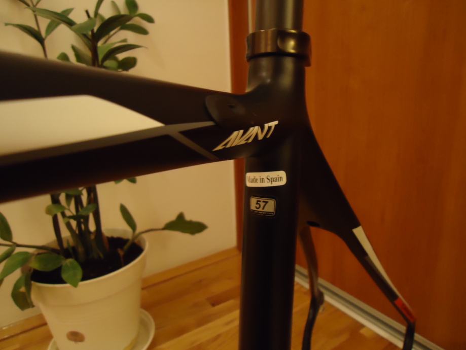 orbea avant frameset